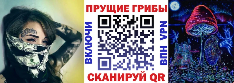 blacksprut как зайти  что такое   Старая Русса  Псилоцибиновые грибы Psilocybine cubensis 