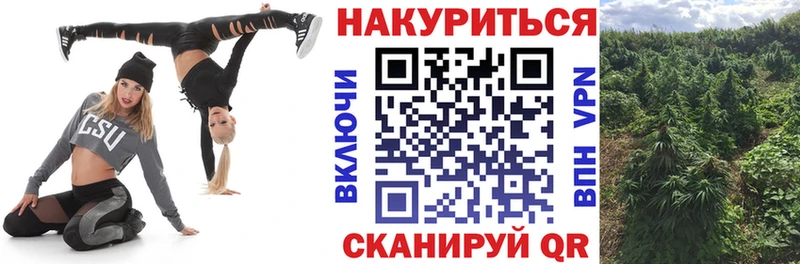 МАРИХУАНА семена  купить закладку  Старая Русса 